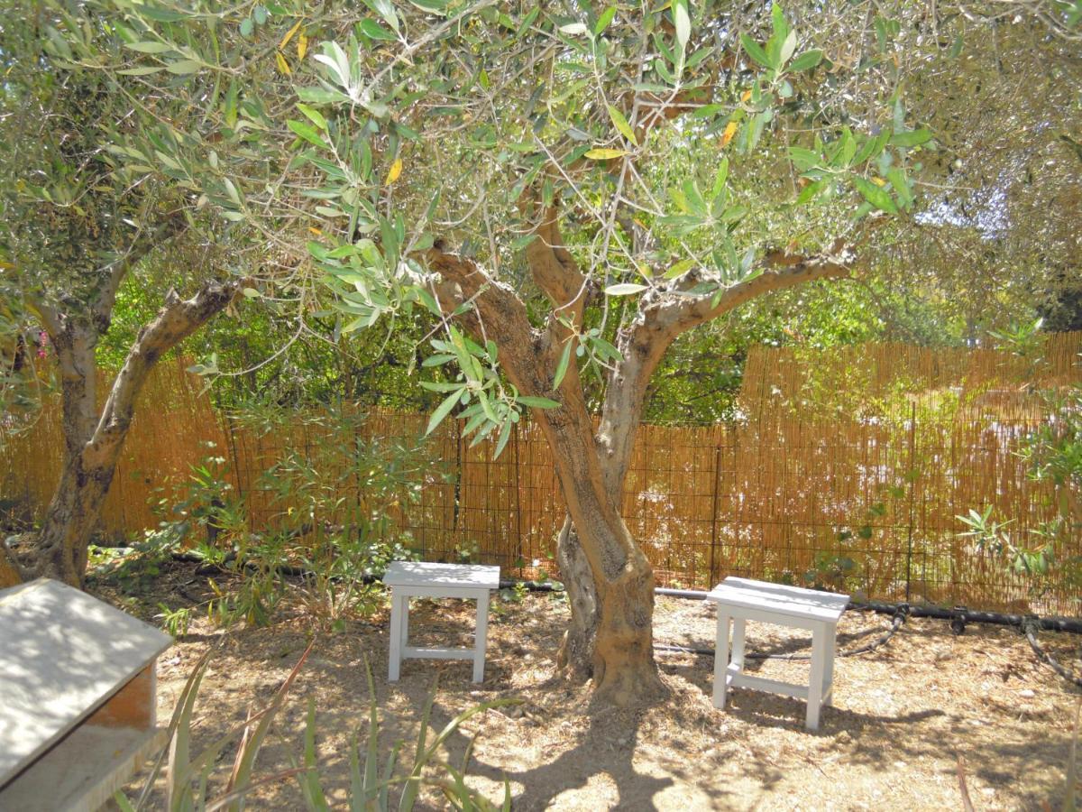 Petaloudes 2 Apartment