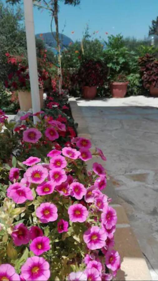 Armonia Holiday home Corfu (city)