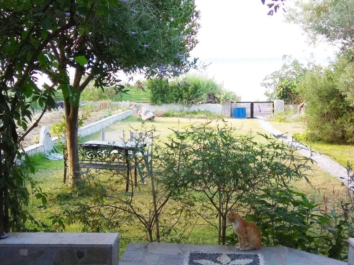 Front In Polychrono Holiday home Hanioti