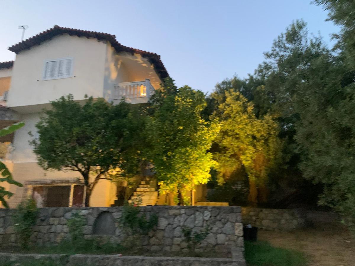 Olive Stone * Nea Skioni