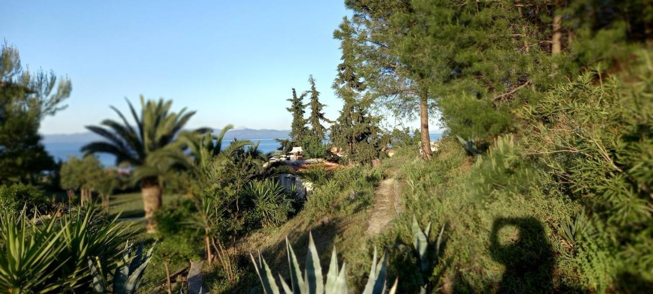 Seaside View Villa Hanioti