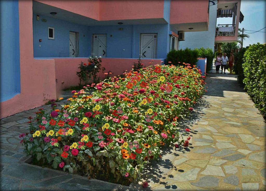 Chrissi Ammoudia Apartment *