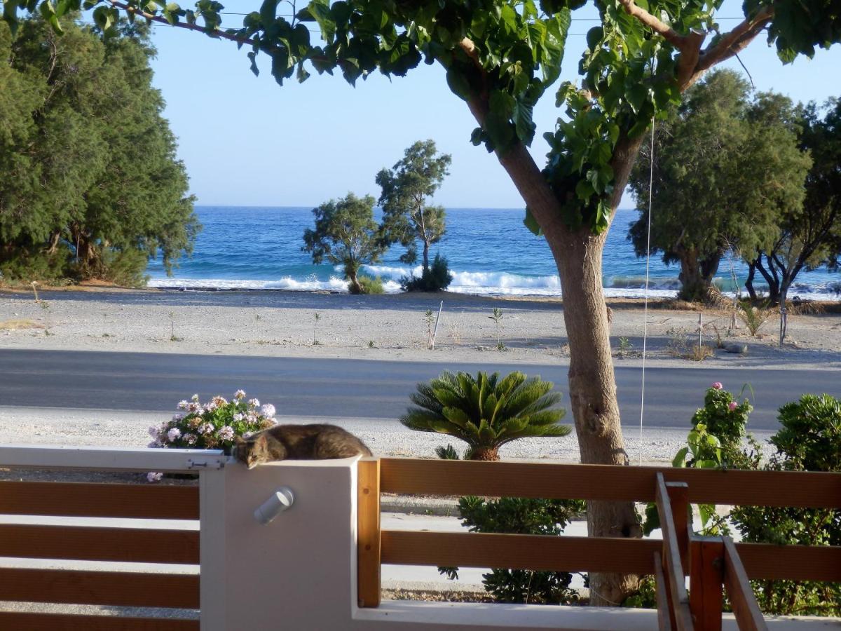 Votsalo Ierapetra (Crete)