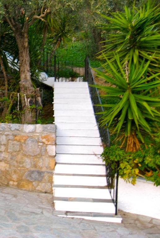 Xanemos Skiathos Town