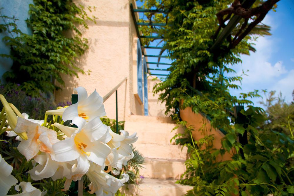 Coriva & Hotel 4*