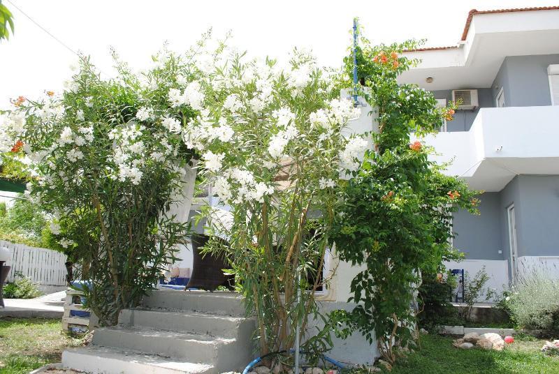 Karmik Concept 3*