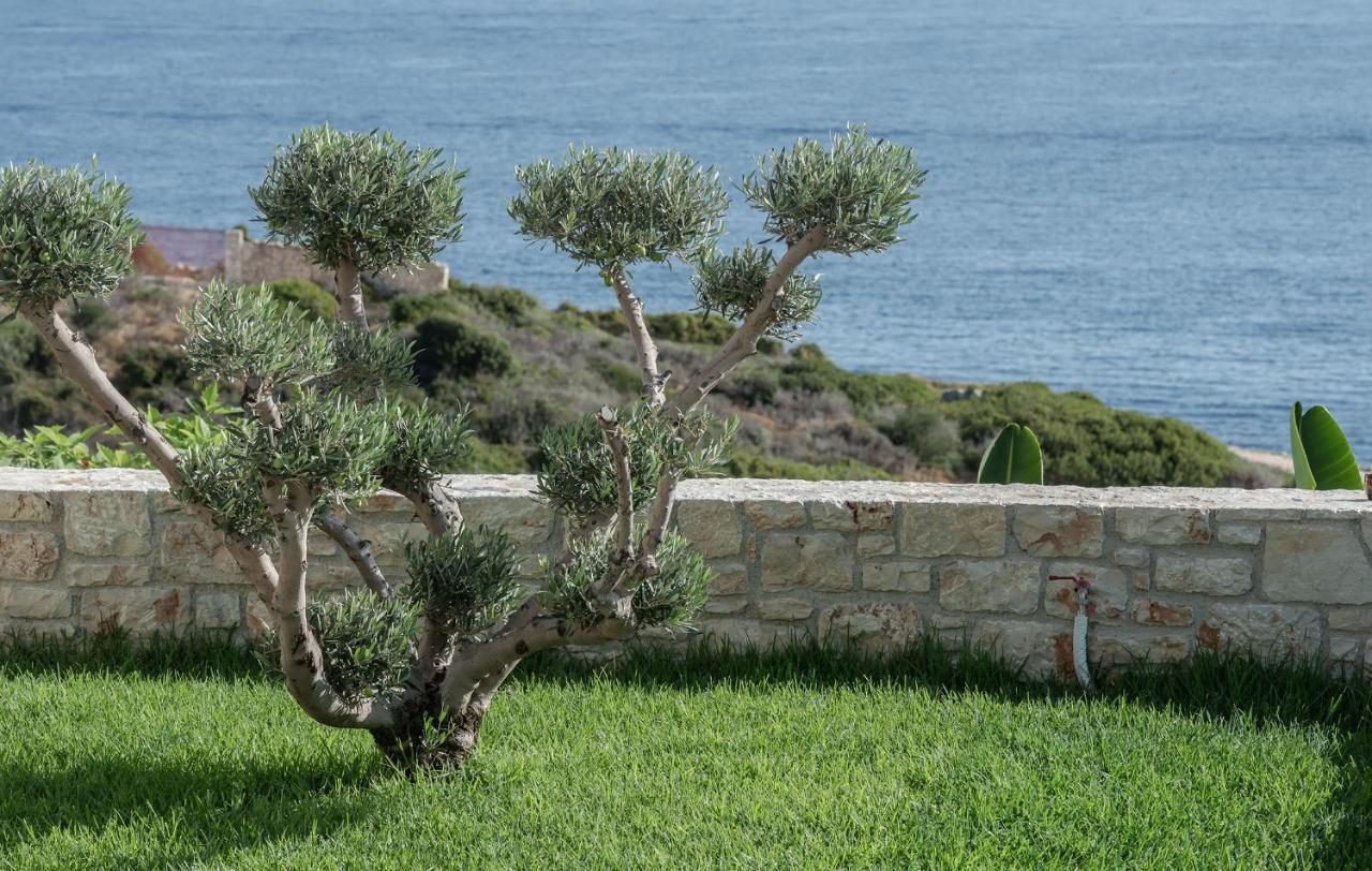 Aliv Stone &