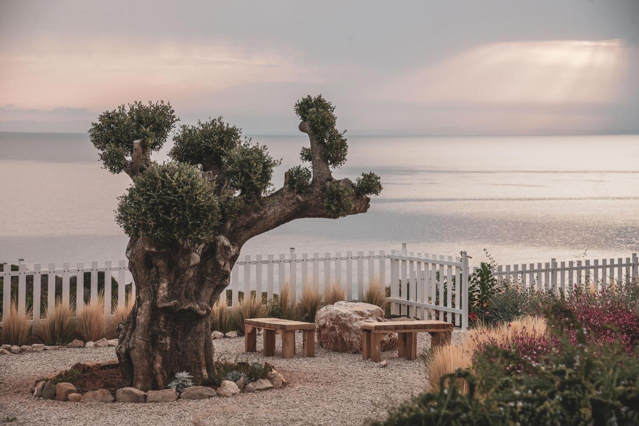Aliv Stone & Agios Nikolaos (Zakynthos)