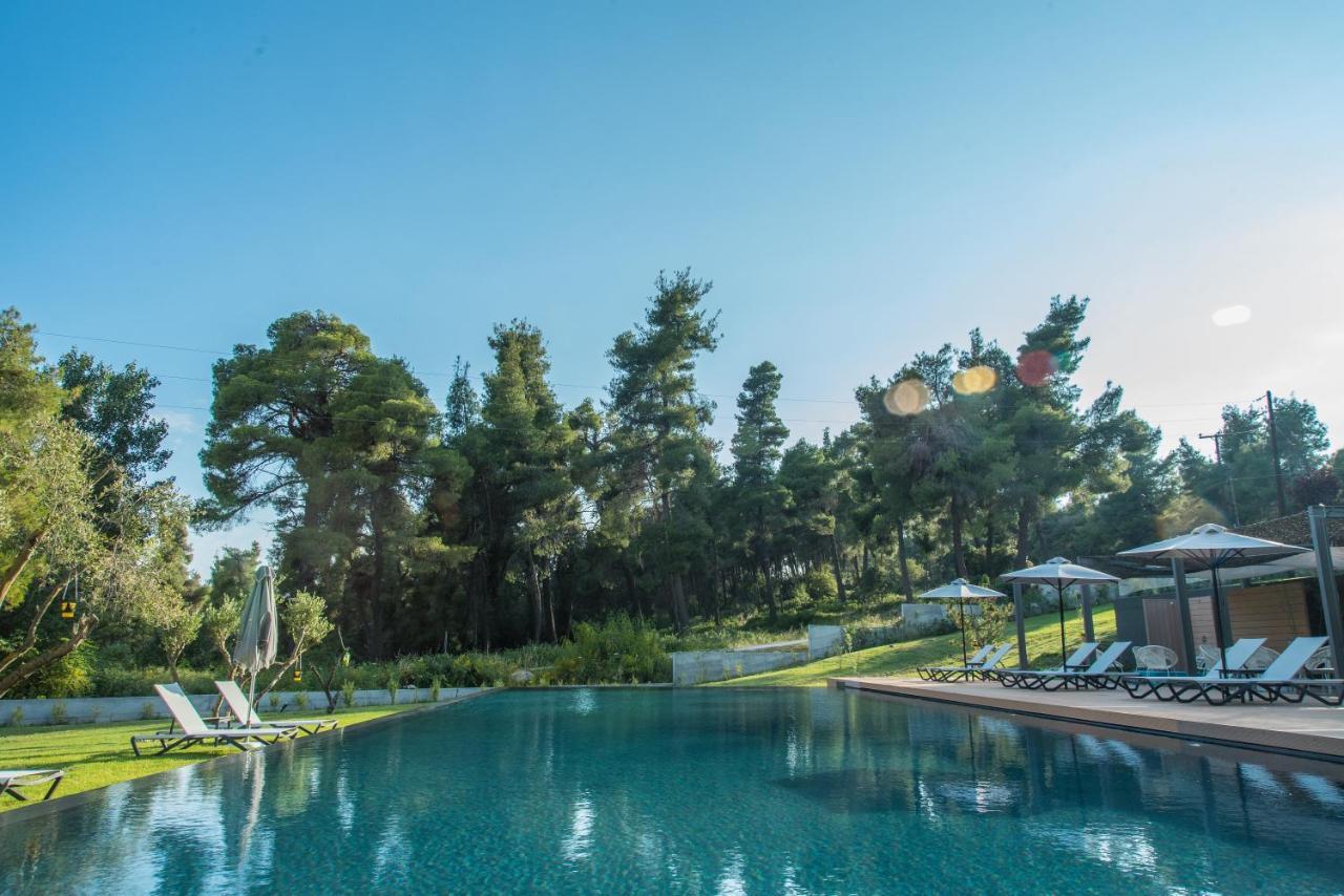Sani & Sani Woods (adults Only) Aparthotel Sani (Chalkidiki)