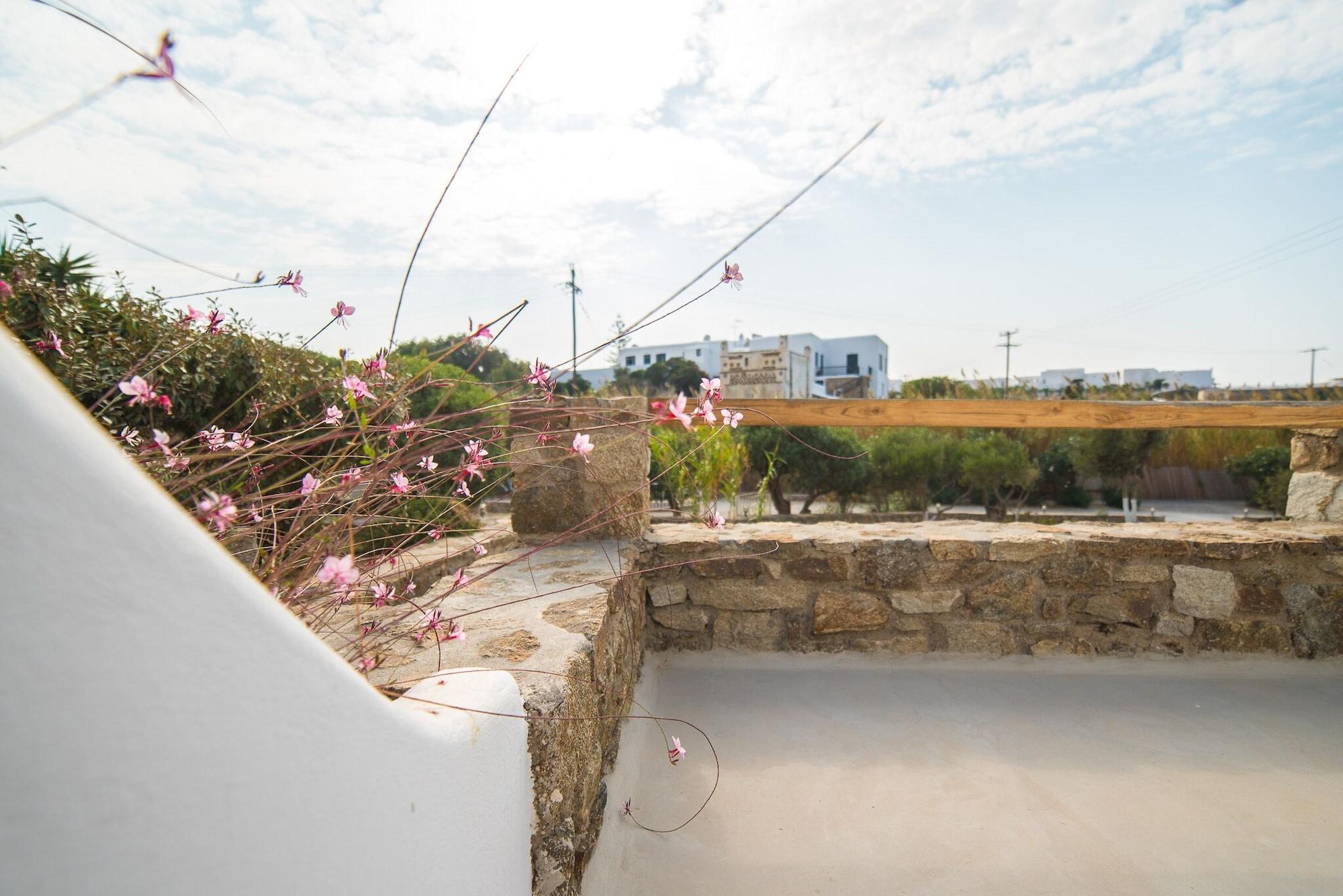Vienoula's Garden Mykonos Town