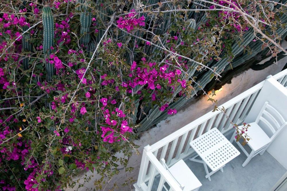 Fresh Boutique Hotel Mykonos Town