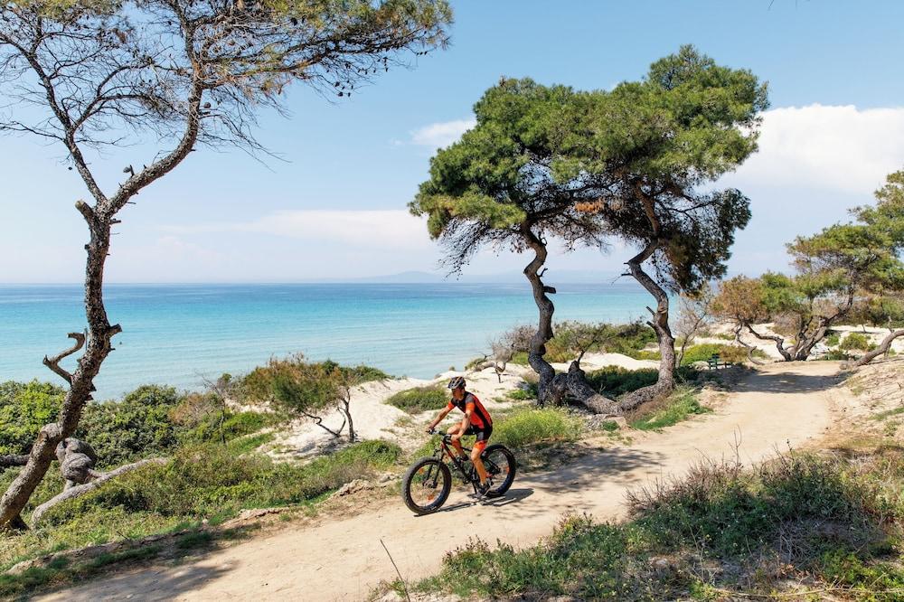 Hotel Sani Asterias Sani (Chalkidiki)