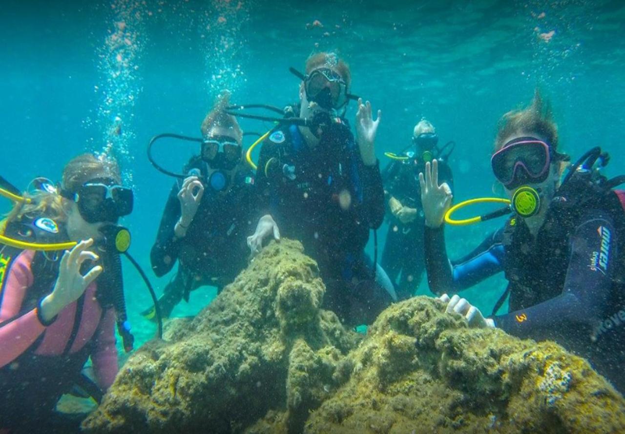 Tortuga Dafni Bay Diver's Paradise By 