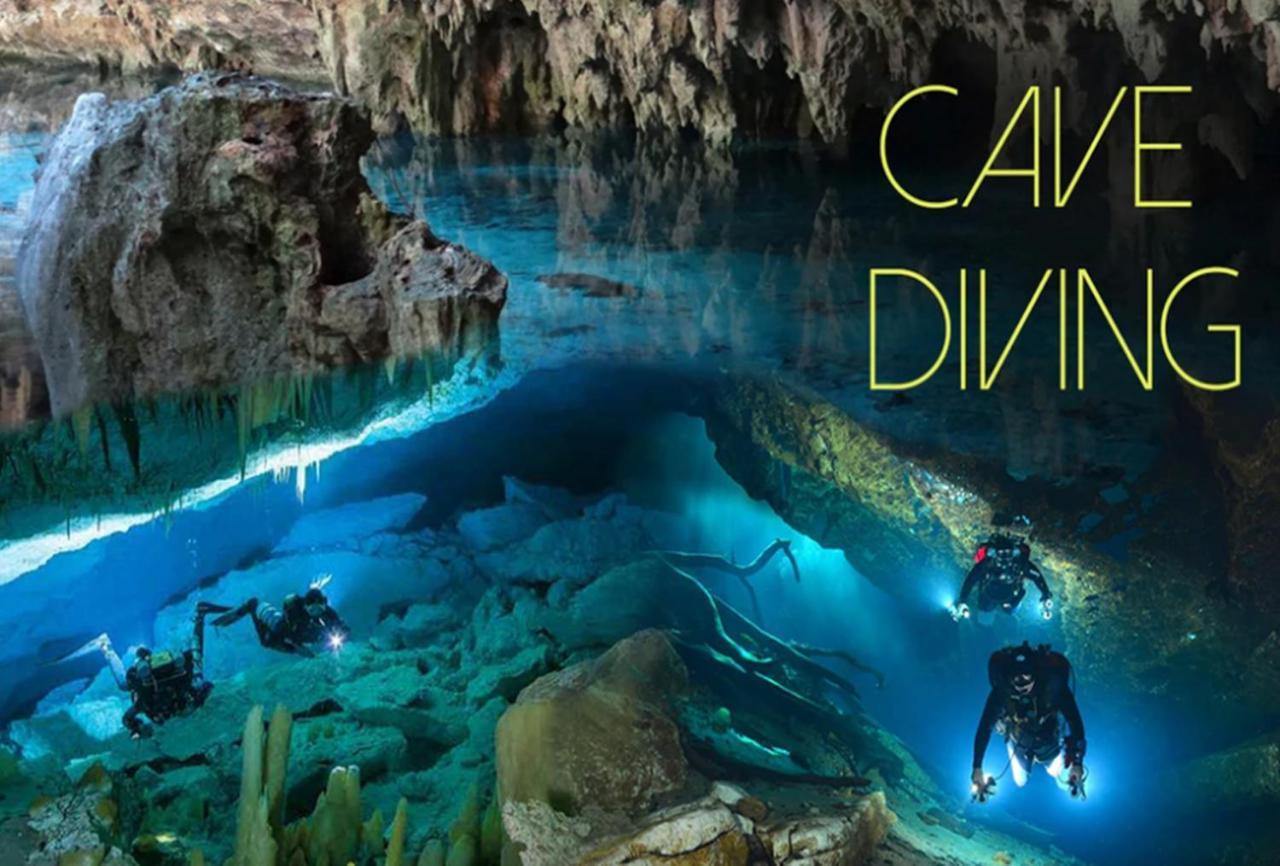 Tortuga Dafni Bay Diver's Paradise By 