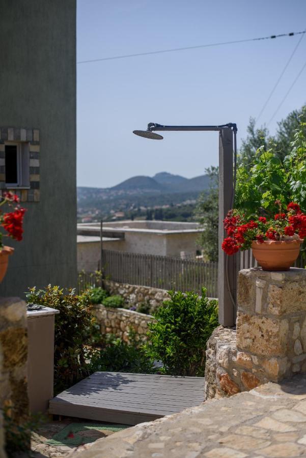 Apartment Nikos & Vassilis Kefalonia *