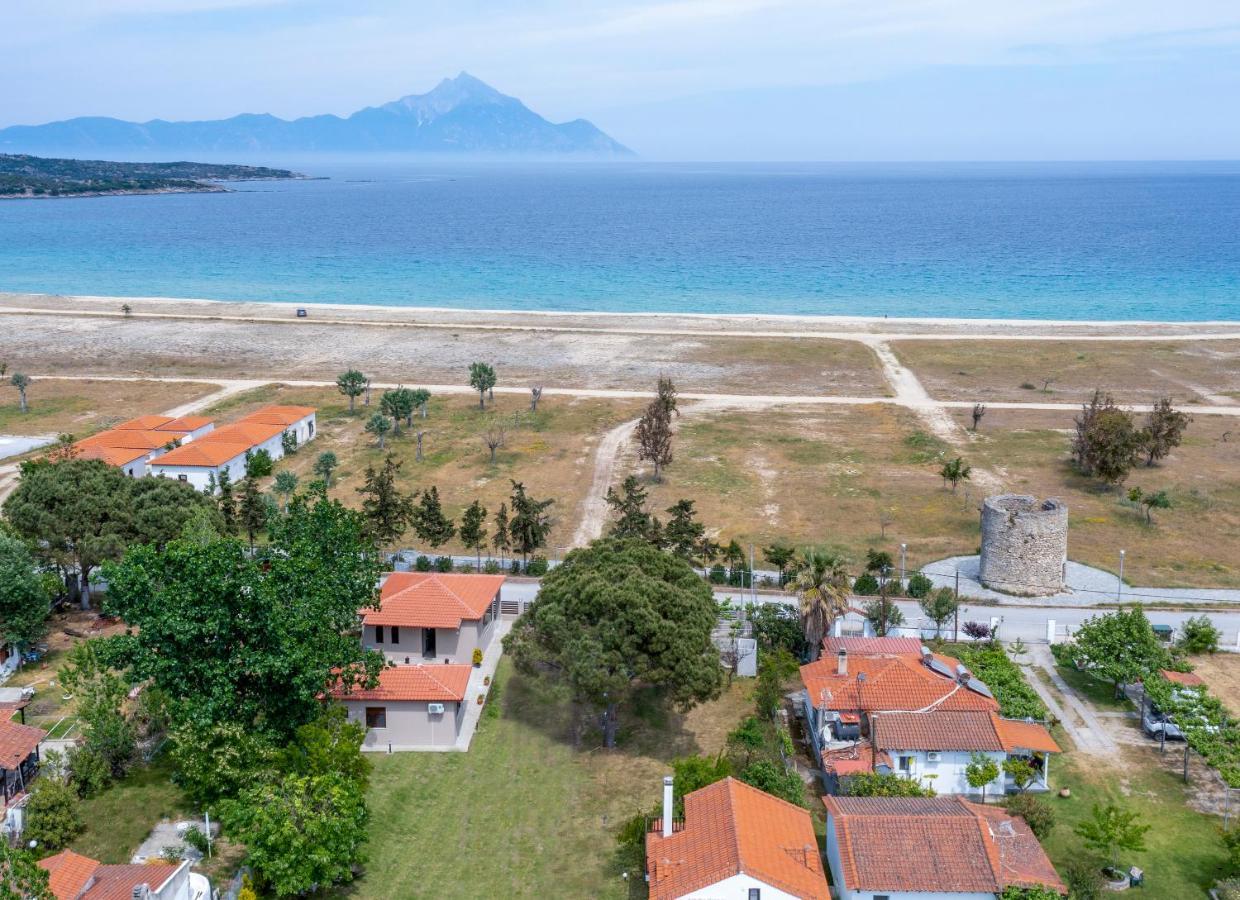 Athos View - Golden Fig Sykia