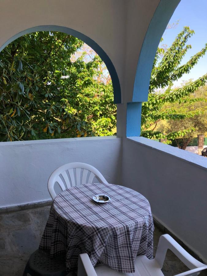 Hotel Blue Garden *
