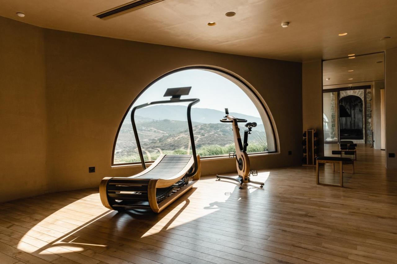 Acro - A Wellbeing (adults Only) Hotel Agia Pelagia (Crete)