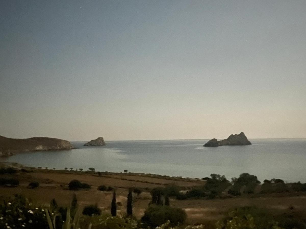 Natica Mare