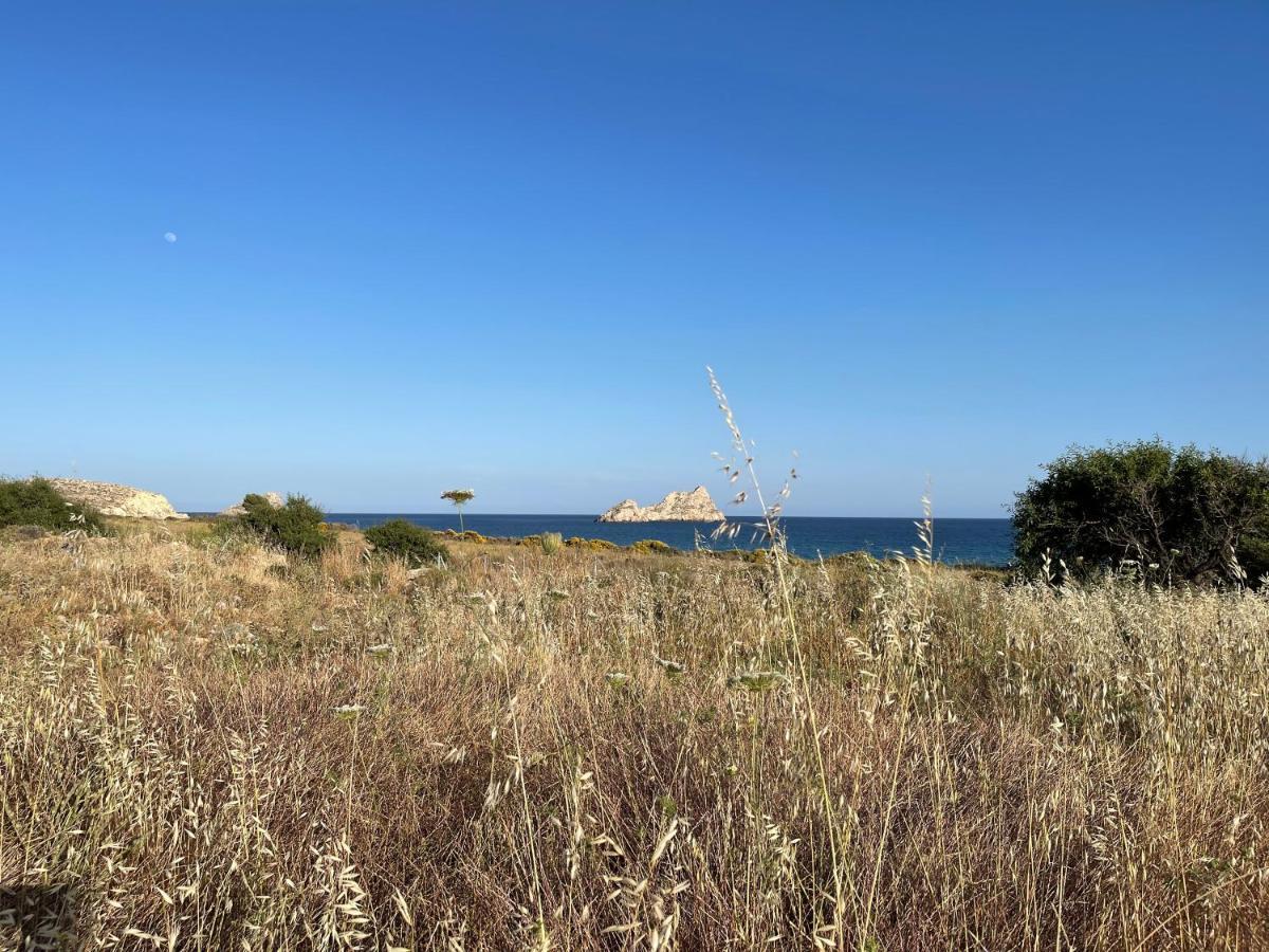 Holiday home Natica Mare Xerokampos (Crete)