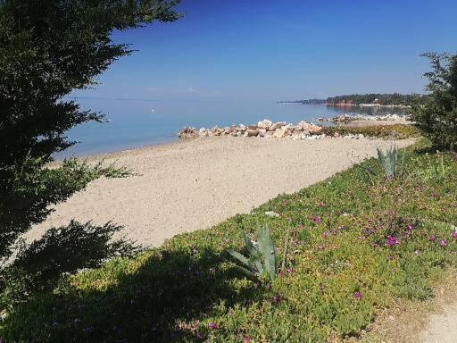 Porto Almira Beachfront Apartrments Apartment