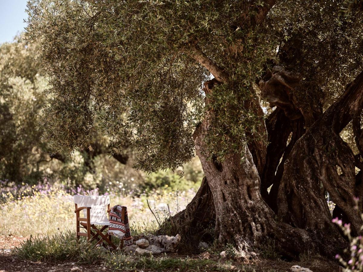 Dounias Village - Traditional Architecture & Modern Luxury Holiday home
