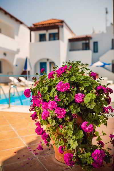 Iliana 2* Panormos (Crete)