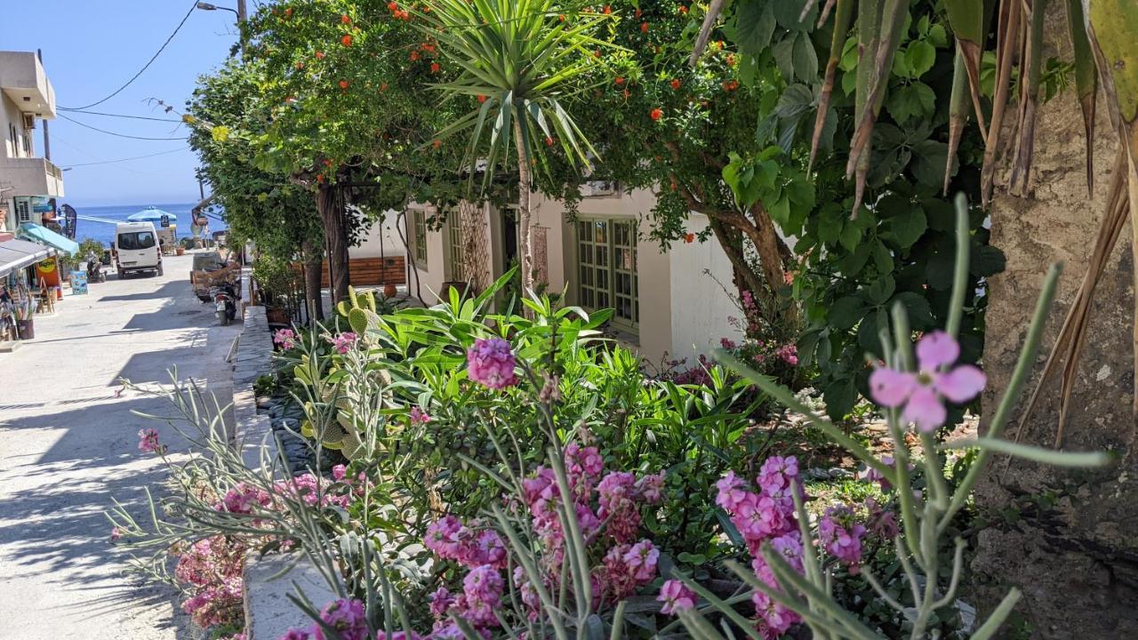 Irene Guest house