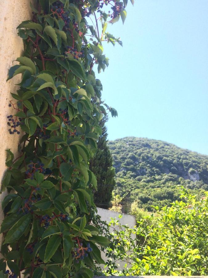 Giannatos' Studios * Poros (Kefalonia)