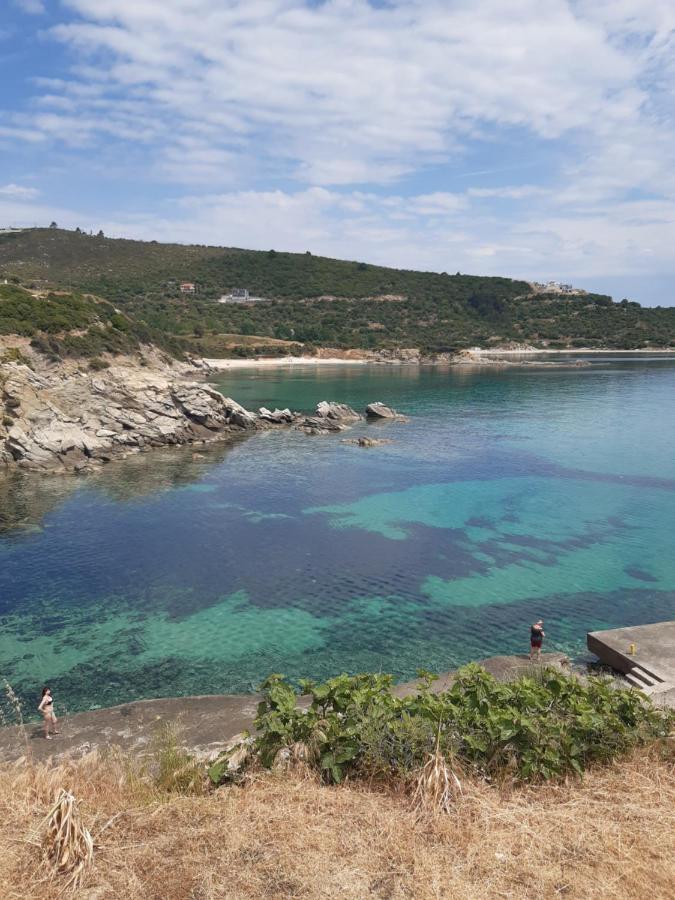 Apartment Wilem Sarti