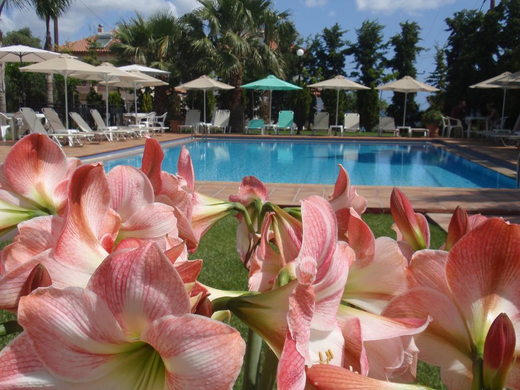 Kalithea - Heated Pool Apartment *