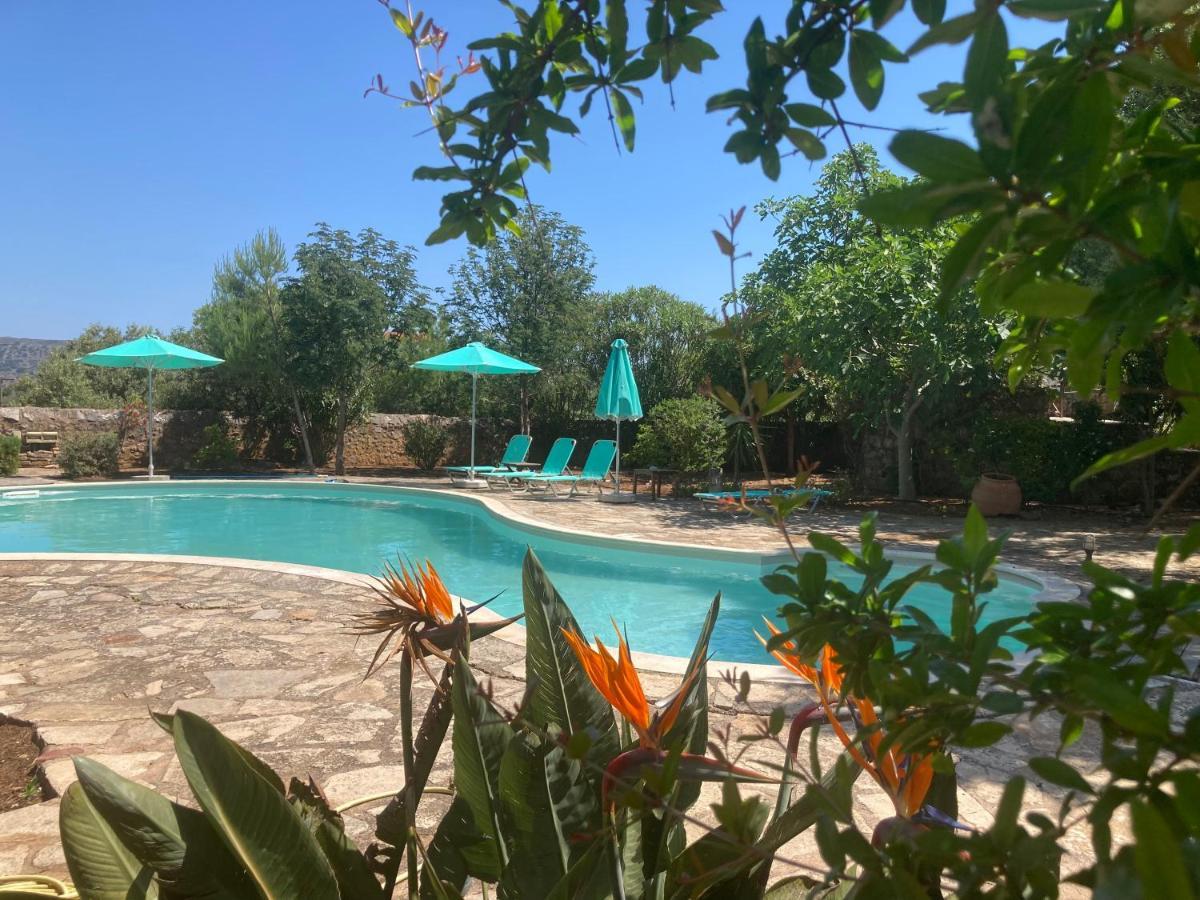 Magdalena Villa *