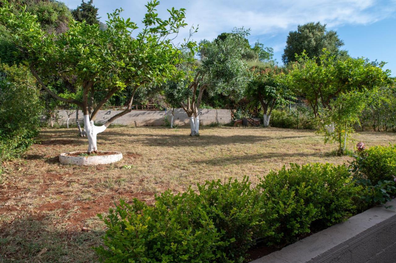 Villa Athina Angon