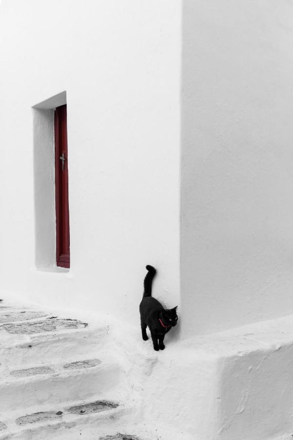 Hotel Mykonos Gem Mykonos Town