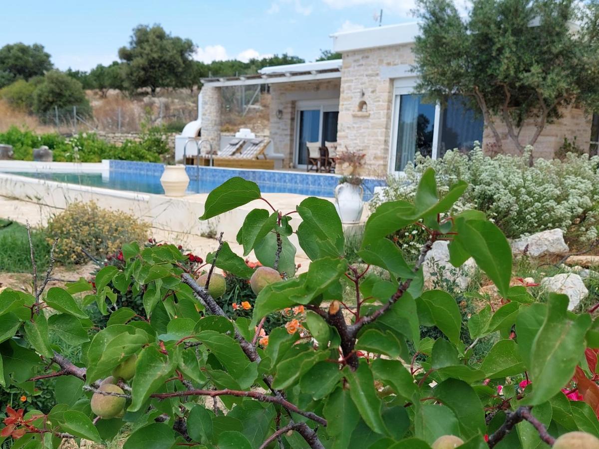 Villa Petra *