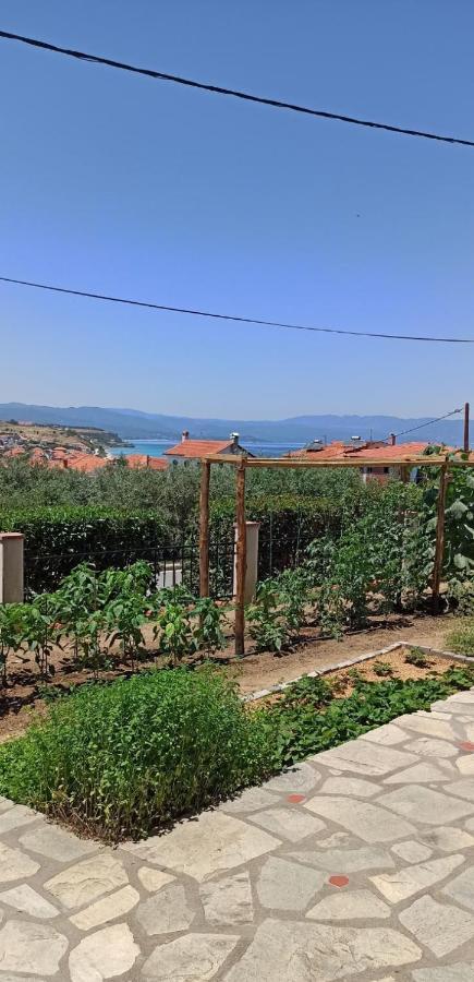 Apartment Despoina Meletiadou Nea Roda