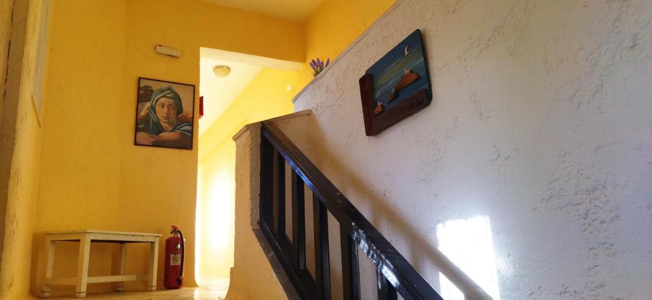 Hotel Cleo 250m From The Malia (Crete)