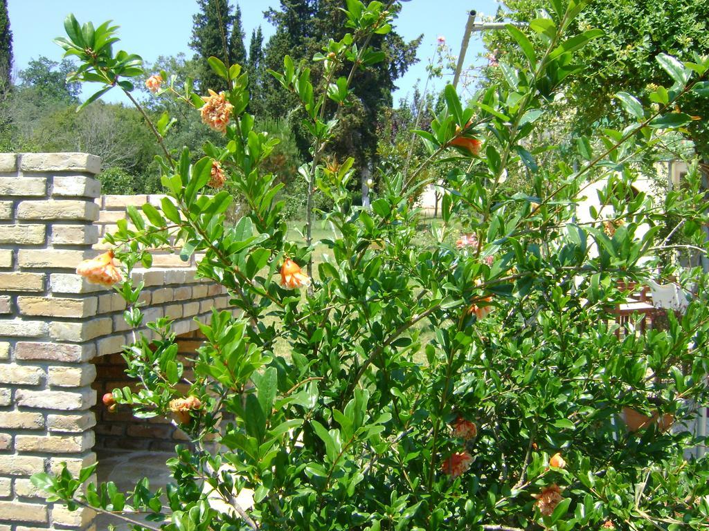 Apartment Scorpios Dassia (Corfu)