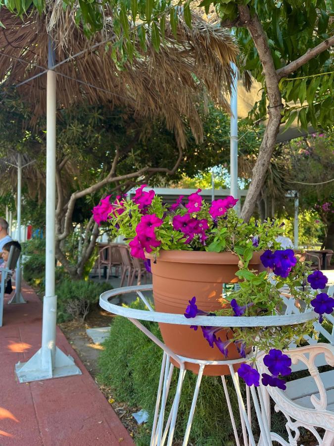 Theodorou Aparthotel Psalidi (Kos)