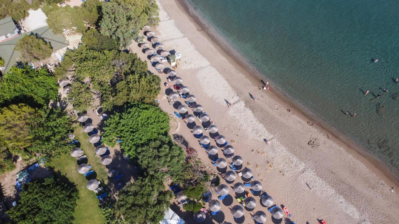 Tortuga Dafni Bay Diver's Paradise By 