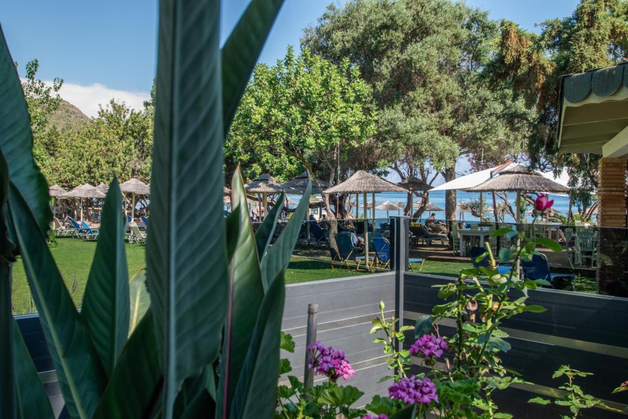 Tortuga Dafni Bay Diver's Paradise By 