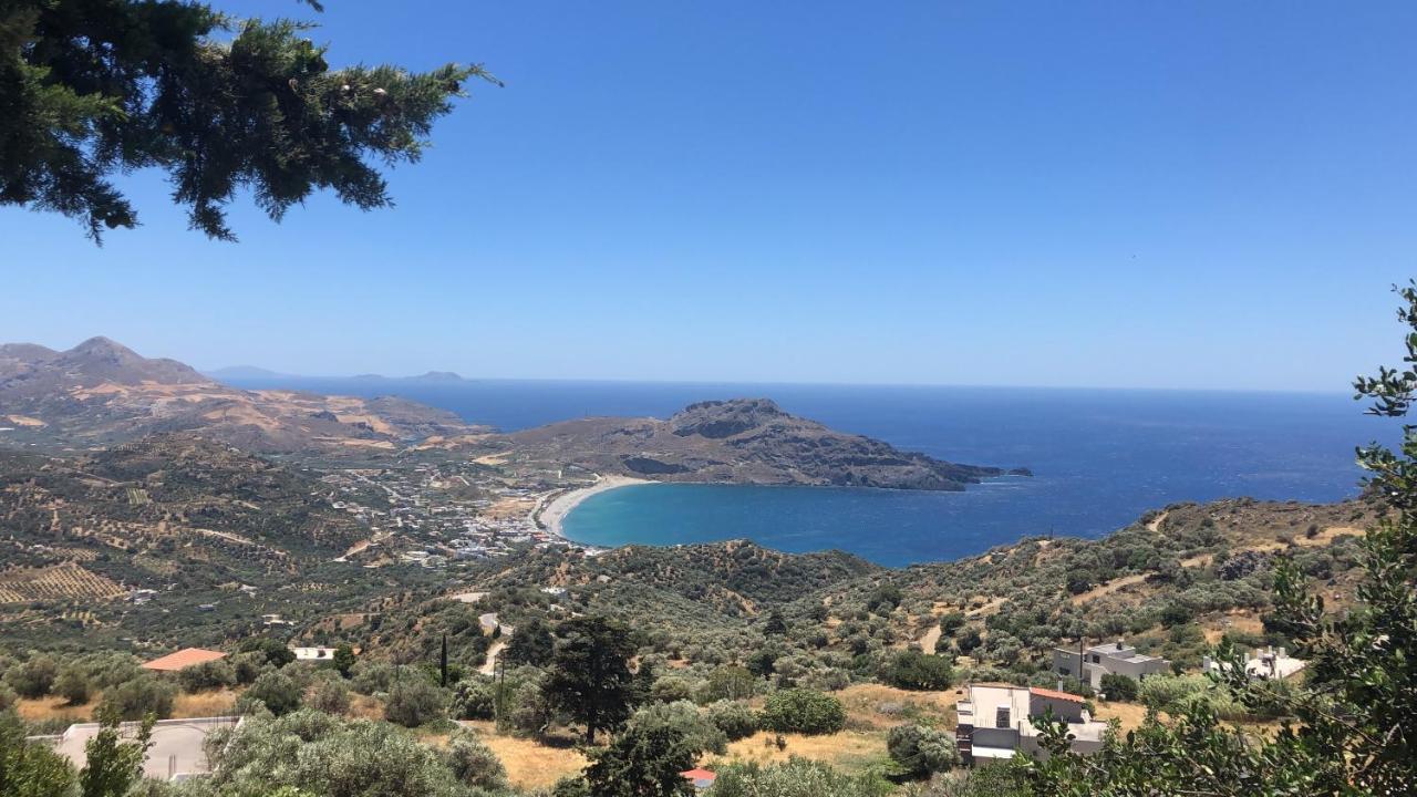 Apollon Villa *