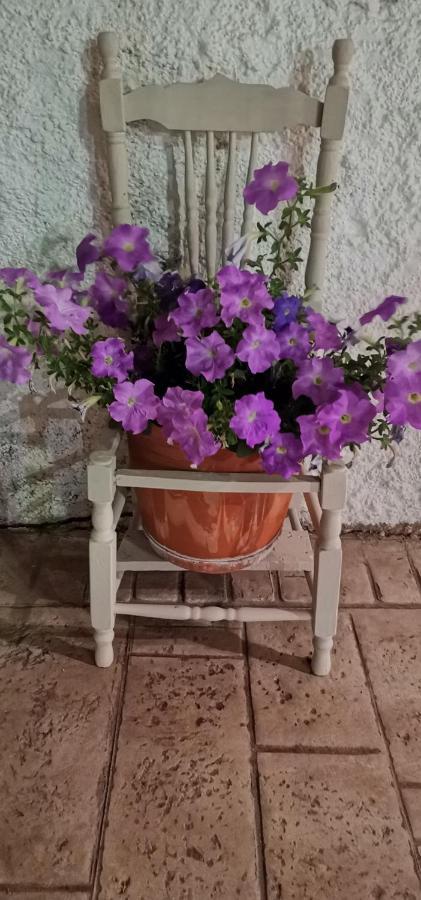 Sole E Mare Family Apartment