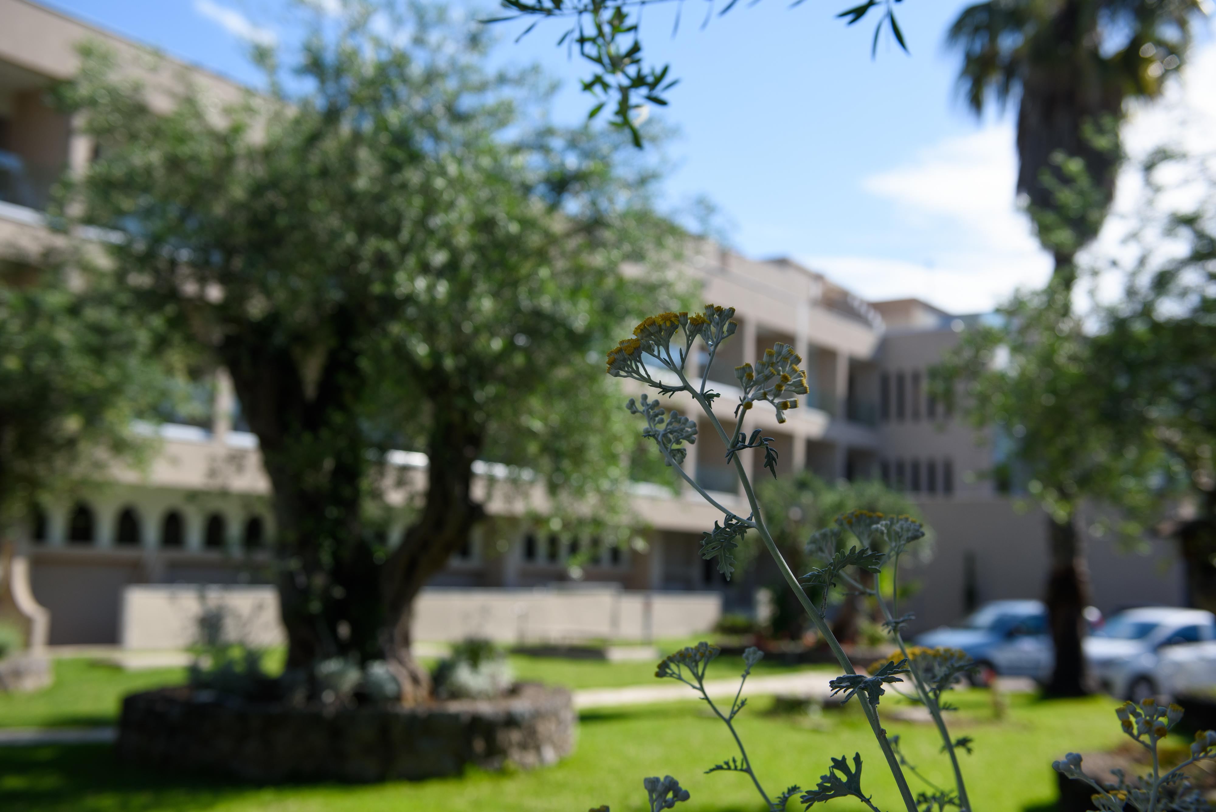 Iolida Corfu By Smile Hotel 4*