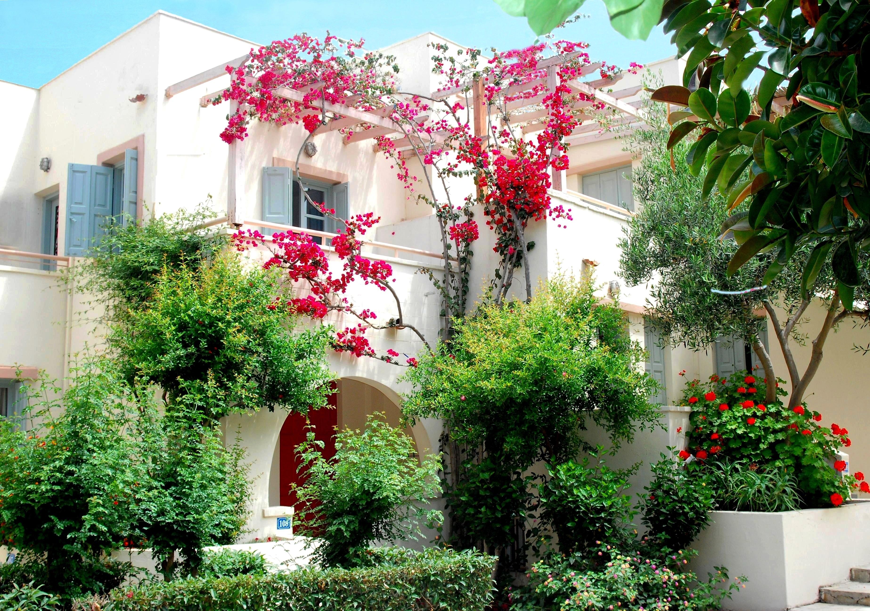 Nissia Kamares Aparthotel Kardamena (Kos)