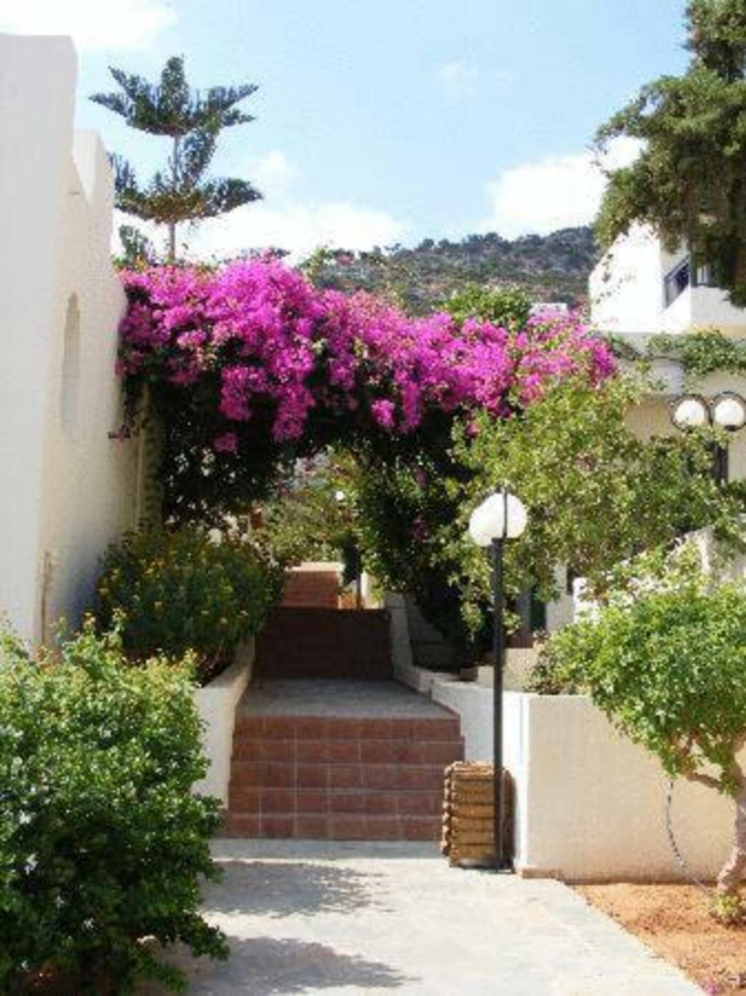 Anastasia Hotel Stalida