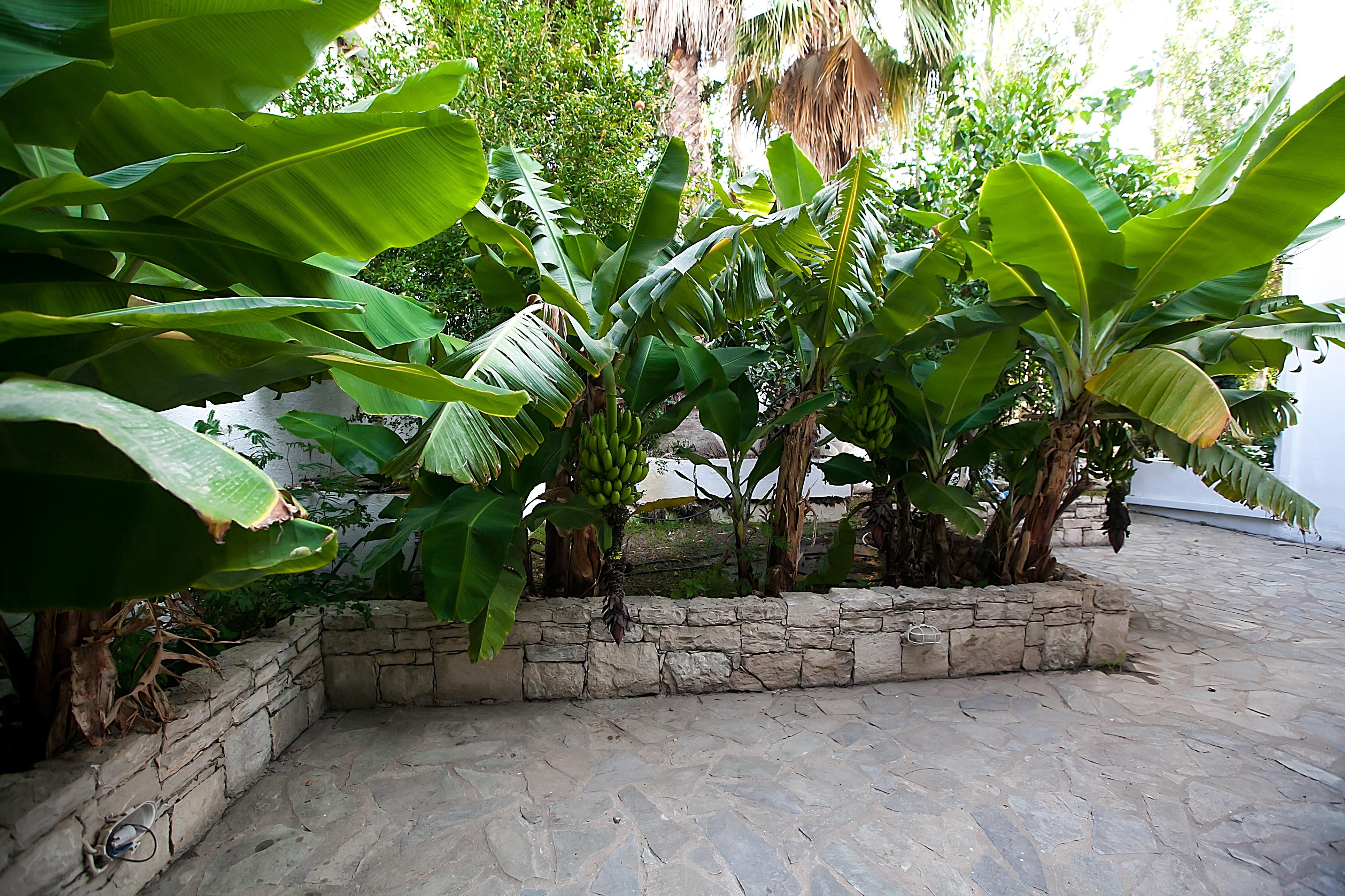 Julia * Platanes (Rethymno)