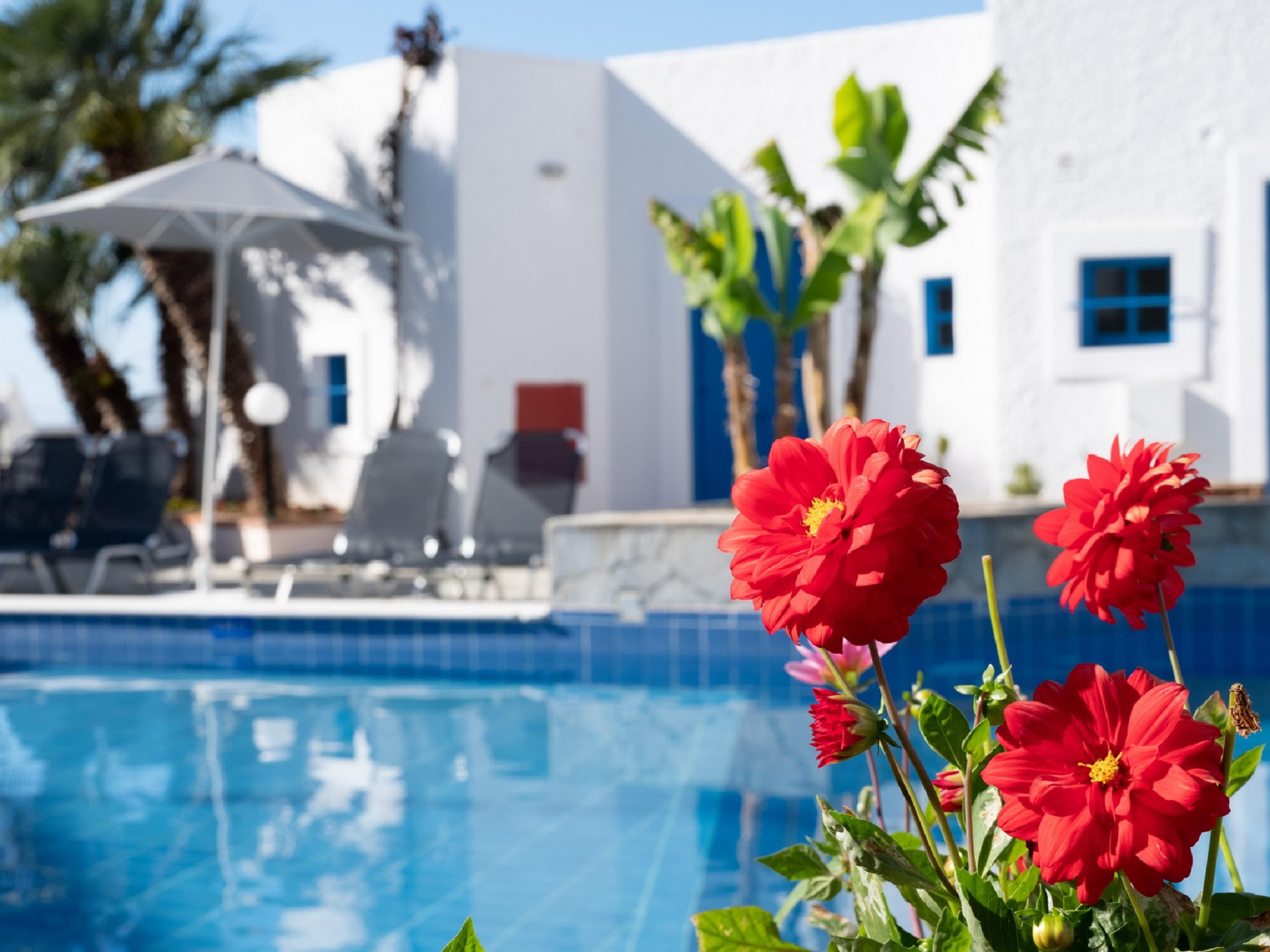 Kirki Village-adults Only Hotel