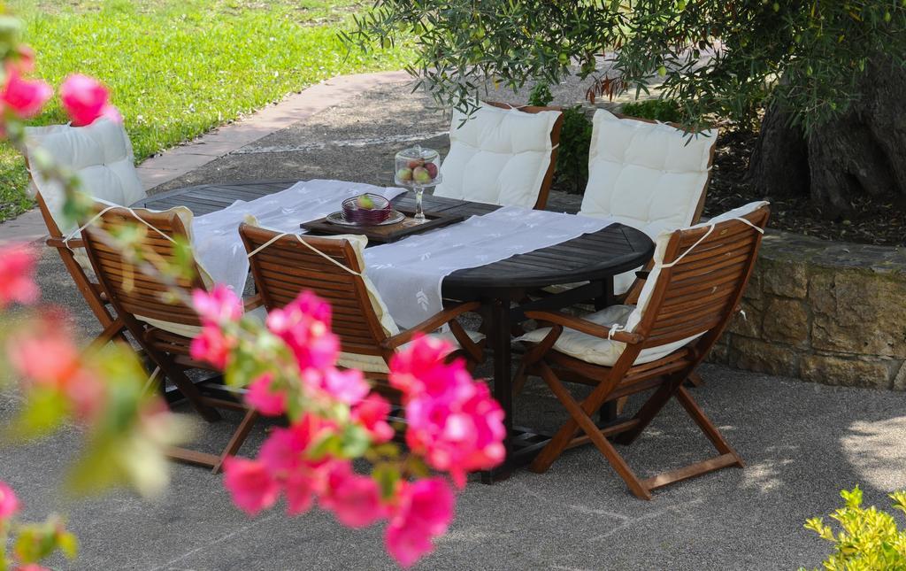 Olivos Sani Sani (Chalkidiki)