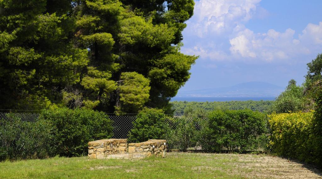 Olivos Sani Villa *